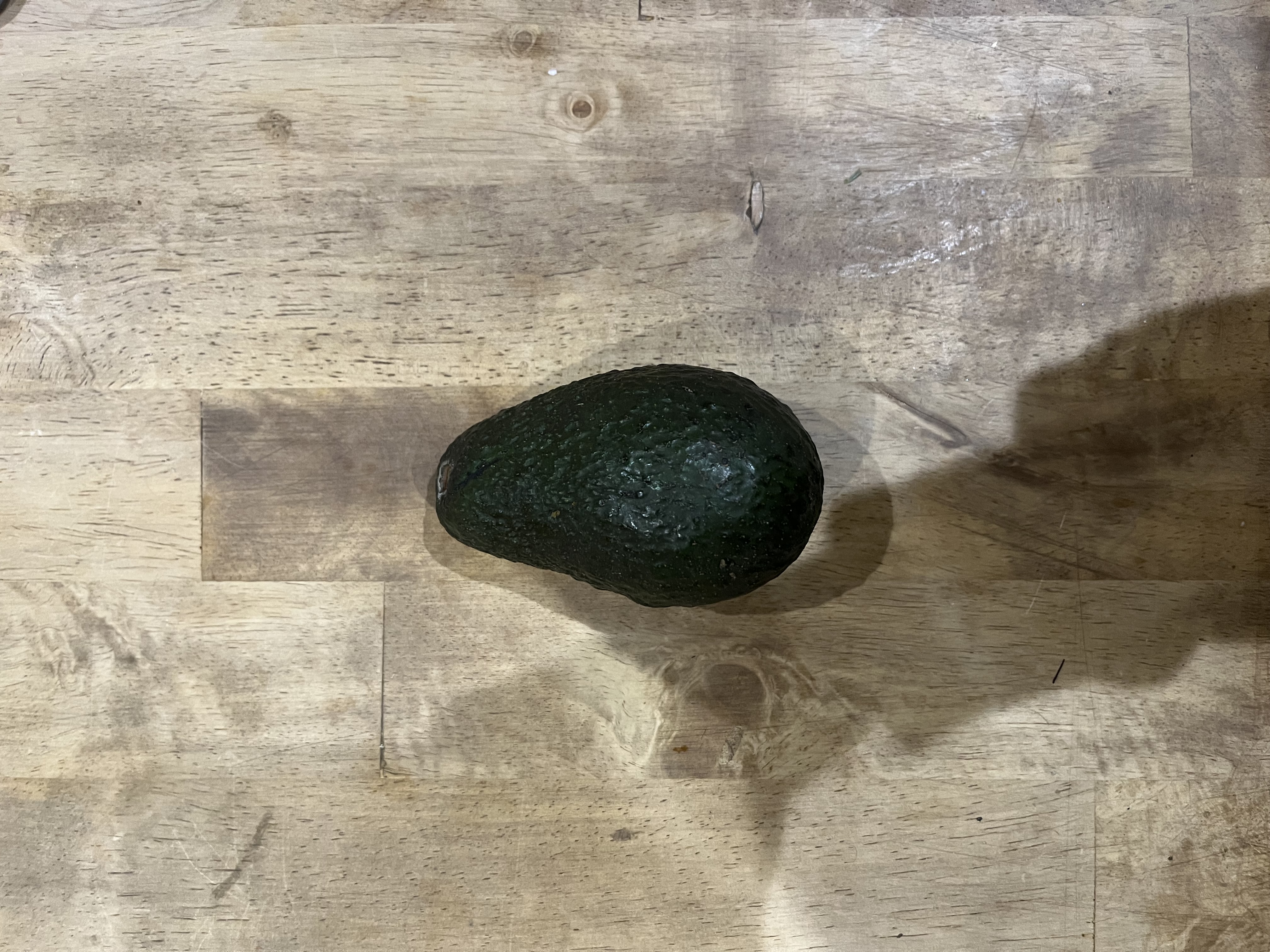 frankly an avocado