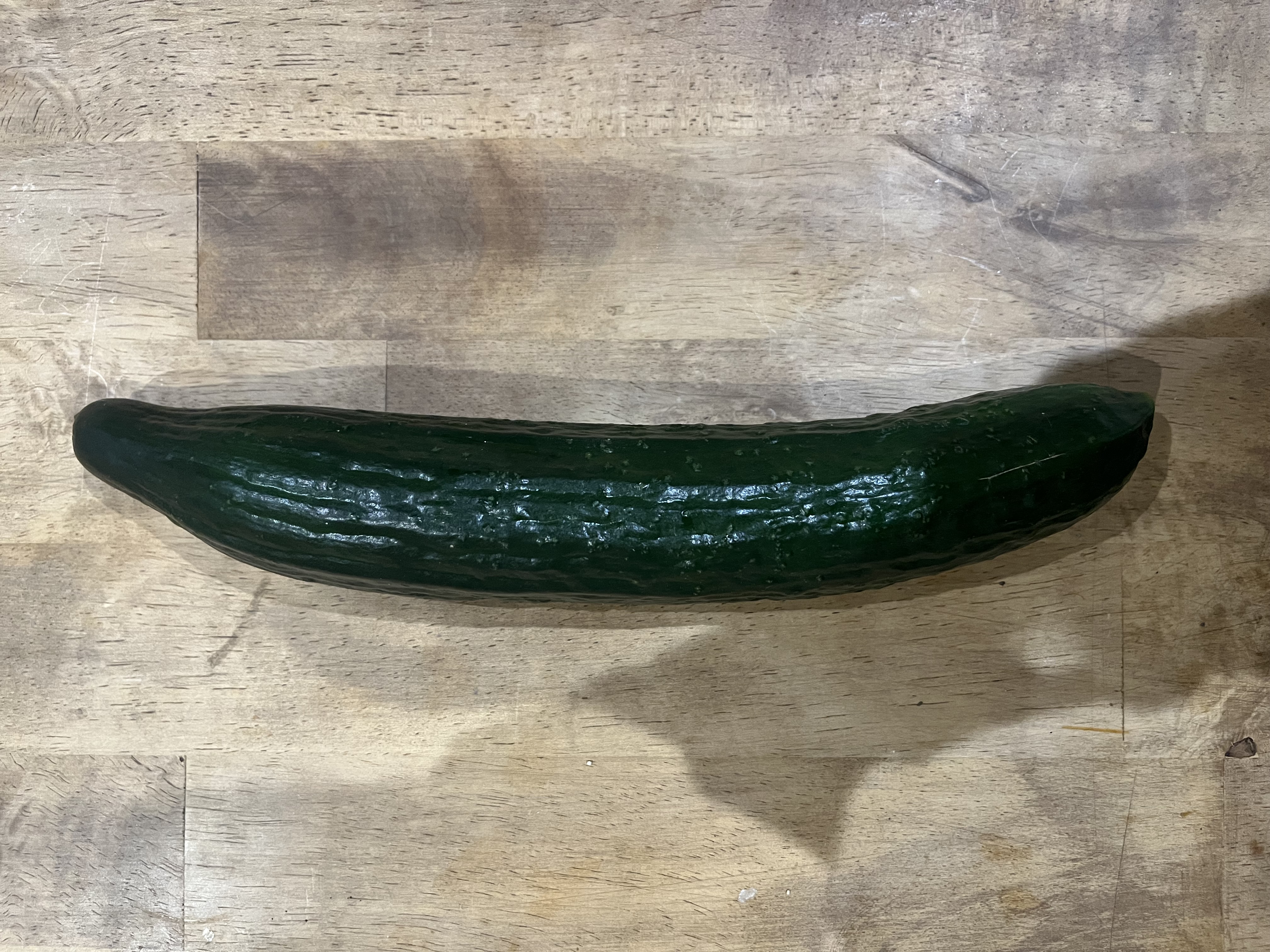 frankly shabby cucumbers